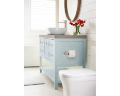 Amerock St. Vincent Single Post Toilet Paper Holder -Amerock Sales Shop ame bh36041g10 lifestyle 2 big