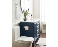 Amerock Glacio Single Post Toilet Paper Holder -Amerock Sales Shop ame bh36061cg10 lifestyle big